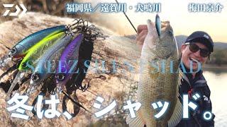 冬は、シャッドだ【STEEZ SILENT SHAD】梅田京介｜Ultimate BASS by DAIWA Vol.735