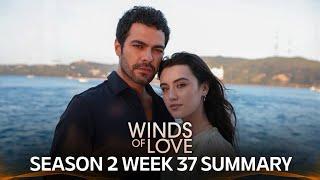 Winds of Love Season 2 Week 37 Summary  | Rüzgarlı Tepe 2. Sezon 37. Hafta Özeti