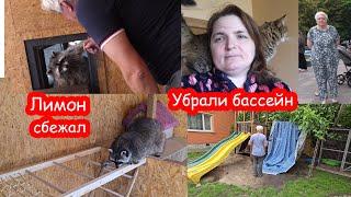 VLOG Alisa went to the second camp without Seryozha. Kostya makes a raccoon. Shopping. Parcels