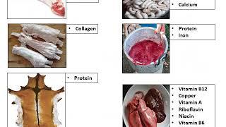 Module 2 Part 3  Utilization of Meat Industry Byproducts