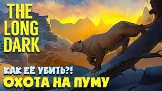 Прошли новые сказки и убили пуму! ► The Long Dark  ► Последний горизонт