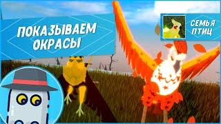 Показываем Окрасы в Семье Птиц Роблокс Roblox Feather Family