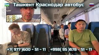 2) Ташкент-Краснодар автобус | Краснодар-Ташкент автобус | Krasnodar -Toshkent | Toshkent-Krasnodar