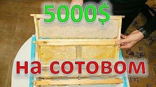 СОТОВЫЙ МЁД. ЛИДЕР ПРОДАЖ В...honeycomb