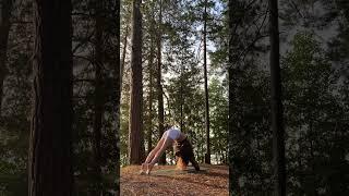 Morning yoga in forest is a miracle #yoga #pilates