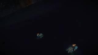 Elite Dangerous 2 UA on ground firefly fandango test
