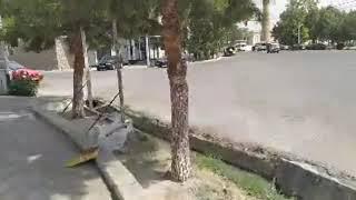 Бозори Конибодом 25 07 2020