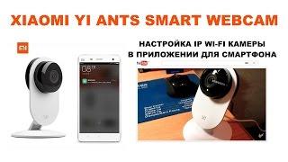 XIAOMI YI ANTS SMART WEBCAM. XIAOMI YI. НАСТРОЙКА IP WI-FI КАМЕРЫ В ПРИЛОЖЕНИИ ДЛЯ СМАРТФОНА