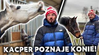 KACPER POZNAJE MUNIA I PARYSA ️| Specjal na ŚWIĘTA | Praca z ziemii z konikami 