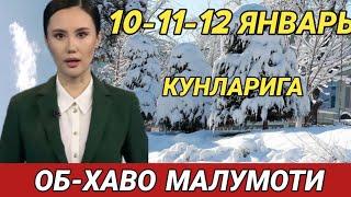 10-11-12 ЯНВАРЬ КУНЛАРИ УЧУН ОБ ХАВО МАЛУМОТИ, ob havo.