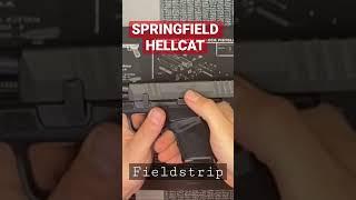 Springfield Hellcat