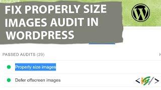 How to Fix Properly Size Images in WordPress | GTMetrix | PageSpeed Insights