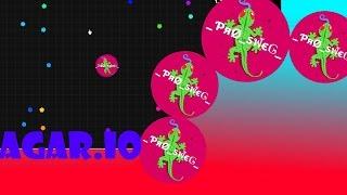 agar.io (playForFree)