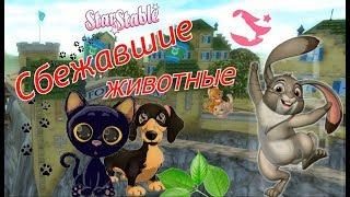 Сбежавшие животные  Форт Пинта. STAR STABLE ONLINE