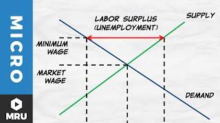 Price Floors: The Minimum Wage