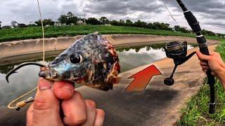 This Is Why Houston Fishermen Keep Drowning Here