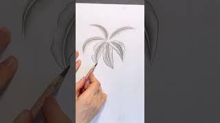 How to Draw Lily Flower | Zero Foundation Learning Drawing #shorts