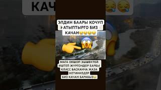 БИЗ КАЧАН #rek #моялошадь #рыбалка #юмор #лошадки #дуэт #прикол #мем #продажалошадей