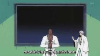 Shinigami Illustrated Picture Book - Arrancar Encyclopedia: Sonido vs Shunpo