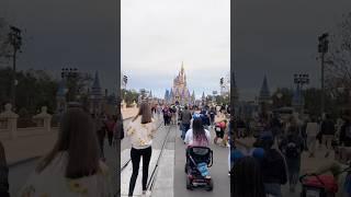 Disney memories ️ #disney #magical #disneymagic