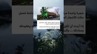 إذا أردت أن تكون قوياً.." اقتباسات" معلومات عامه مفيده " علم النفس" قصص واقعيه " حقائق و معلومات