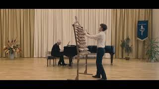 Jazz Ginas | Franz Schubert - The Bee remake on Skrabalai [CLASSICAL MUSIC VIDEO]
