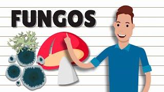 RESUMO do REINO FUNGI