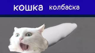 Кошка колбаска