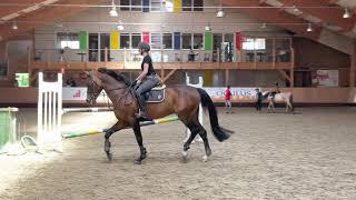 Antrenament de sarituri  "indoor", cu una dintre elevele Scolii de echitatie Equestria