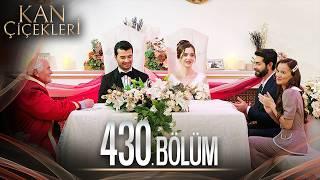 Kan Çiçekleri 430. Bölüm