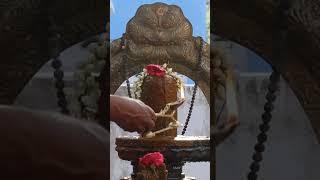 Sivan illam