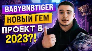 BABYBNBTIGER - Новый ГЕМ проект в 2023?