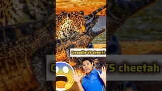 Cheetah vs Crocodile: A Thrilling River Encounter  #NatureWildlife #NatureWildlife  #NatureShorts