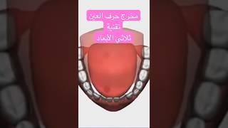 مخرج حرف العين تقنية ثلاثي الأبعاد#quran #islamicvide #viral #اكسبلور #trending #لايك #shortvideo