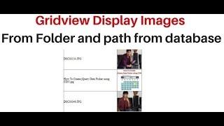 Display Image In Gridview From Database In ASP.NET C# Tutorial