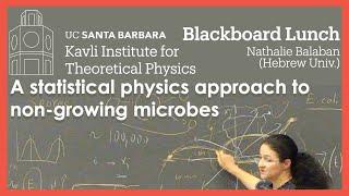 A statistical physics approach to non-growing microbes ▸ Nathalie Balaban (Hebrew Univ.)