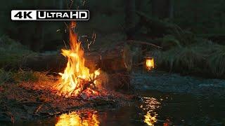 4K  Campfire by the dark River  Soothing sounds of Nature