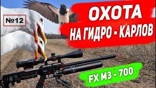 Охота на  Ворону и Гидро- Карлов №12  Hunting 2023. Кроухантинг. Jack Hunter.