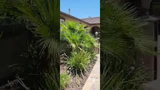 Pacific Vista Senior Living  (Entrance)