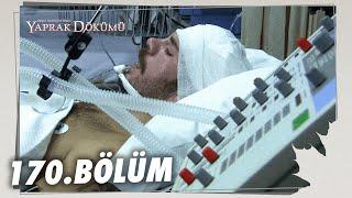 Yaprak Dökümü 170. Bölüm - Full Bölüm