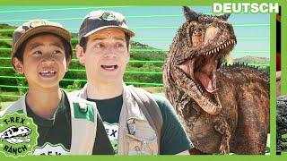 Willkommen in der Dinosaurier-Schule - Bleib draußen! | T-Rex Ranch - Dinosaurier für Kinder