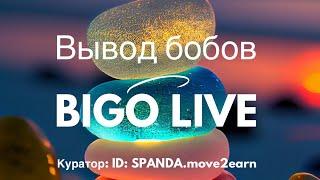 Вывод вознаграждения в BIGO LIVE. Вывод зарплаты в Биго Лайв. Новая система вывода бобов. Агент BIGO