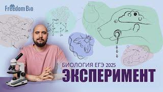 ЭКСПЕРИМЕНТЫ в ЕГЭ по биологии. Задание 22-23| ЕГЭ БИОЛОГИЯ 2025|Freedom|