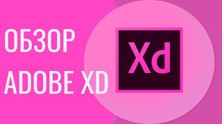 Adobe XD уроки. Обзор программы Adobe XD.