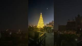 It’s CHRISTMAS TIME in New Orleans!Walking up to the beautiful Christmas tree in the French Quarter!