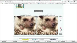 How To Compress Images for Uploading to Your Website Without Photo Editing Software