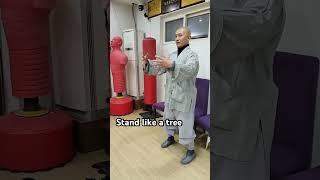#healthimprovement #kungfu #martialarts #zhanzhuang #standingpractice #yiquan #standmeditation