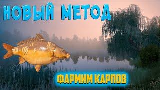 Ловля карпа на оснастку метод. Рыбалка на озере в РР4