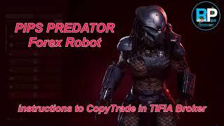 Pips Predator EA - CopyTrade RakanPips Live Trading Account (Broker TIFIA)