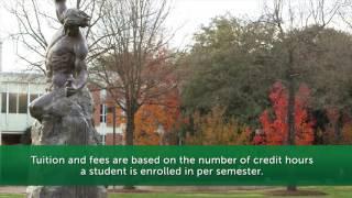 OASES - How much does it cost to attend UNC Charlotte?